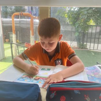 Test Çözümleri